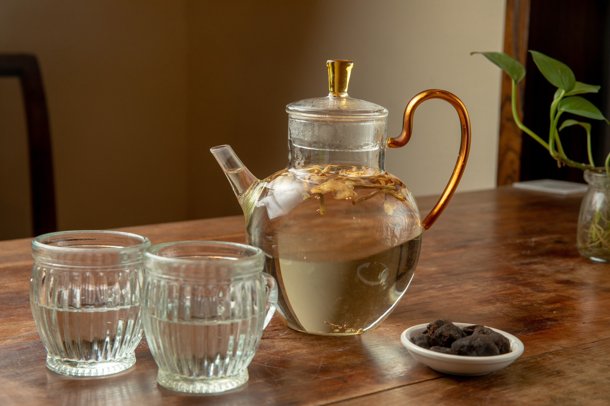 WGT Vegetarian Restaurant FRANKIE LOWE wgt-vegetarian-restaurant-frankie-lowe